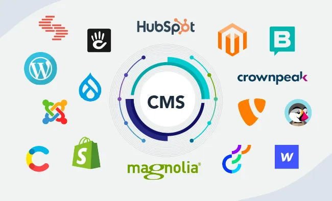 What is the advantage and disadvantage of cms Website ?