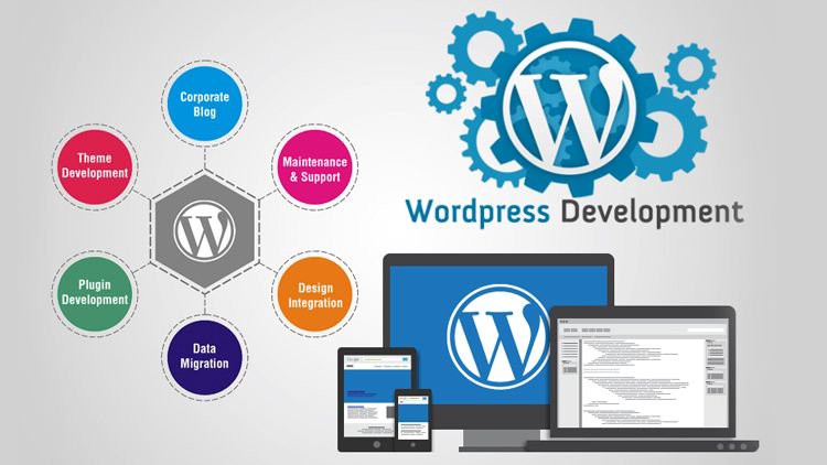 How is a Wordpress website developed ?