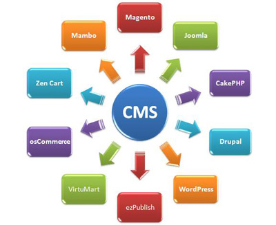 cms Website